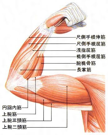 練習禁止 41才からゴルフ始める事になってしまったブログ