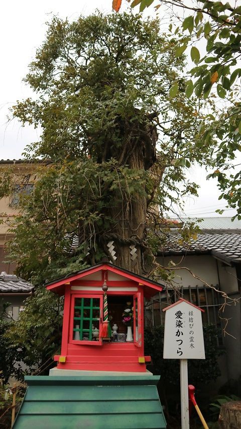 愛染堂勝鬘院 あいぜんどうしょうまんいん を お参りする 無学のブログ