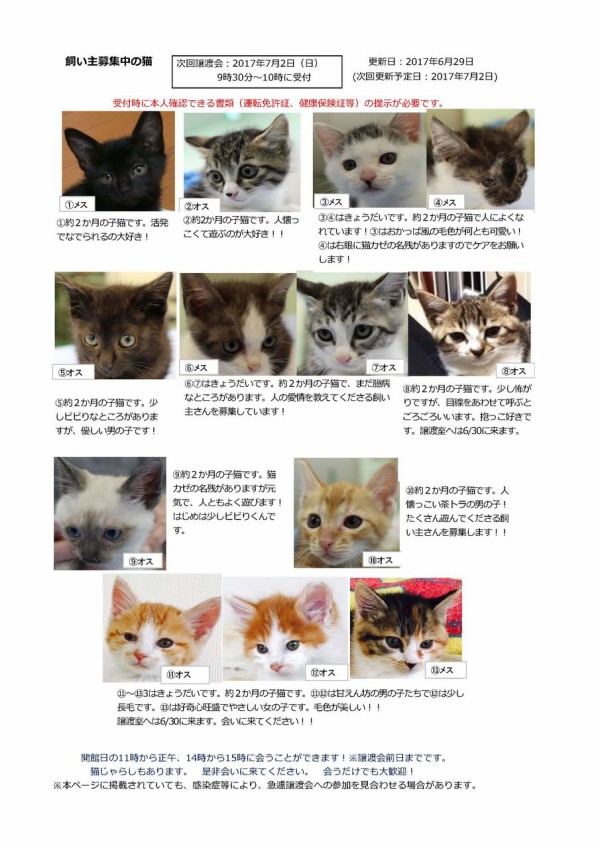 豊田市動物愛護センター 譲渡会のお知らせ ダイゴペットクリニック 里親募集掲示板