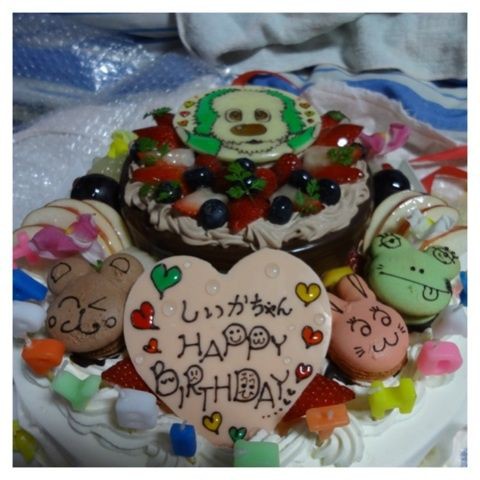 姪っ子しいちゃん めんそーれ沖縄日記