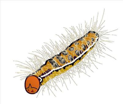 平気 毛虫を食べる鳥たち 庭園日誌