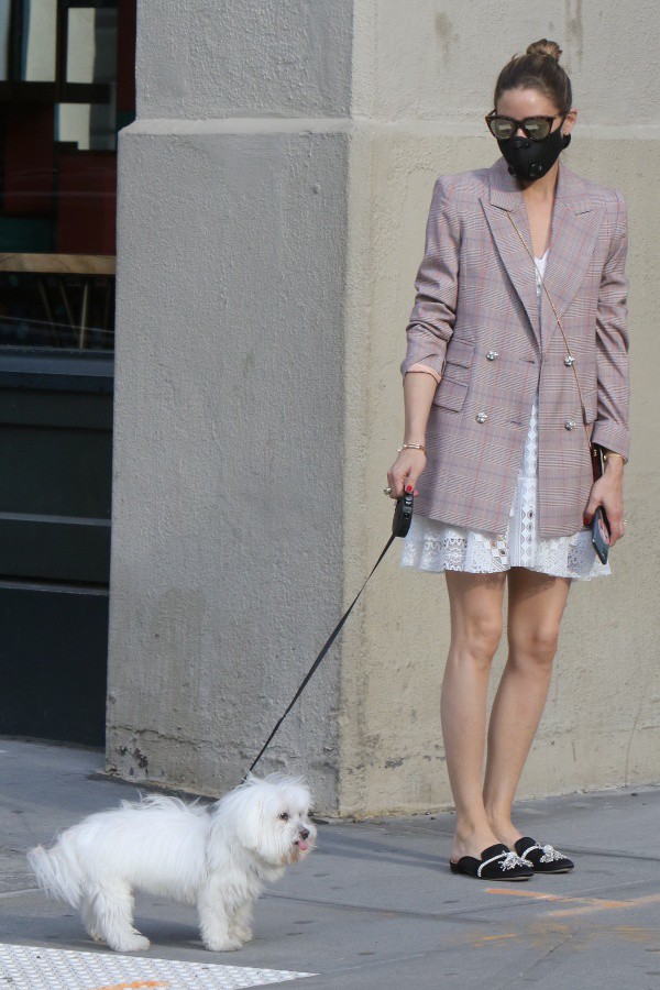 オリヴィア パレルモ 15歳の愛犬ミスターバトラー ジャケット レースワンピ姿で散歩にお出かけ 海外セレブファッションブログ 最新スナップ おしゃれ情報が盛り沢山 Dailycelebritydiary