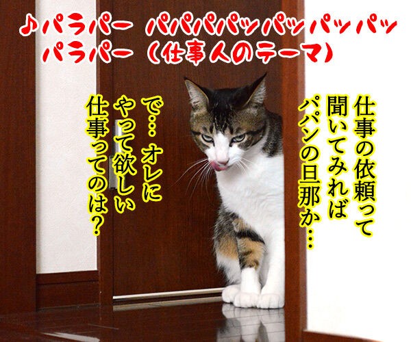 必殺仕事ねこ あずきさんとだいずさん Powered By ライブドアブログ