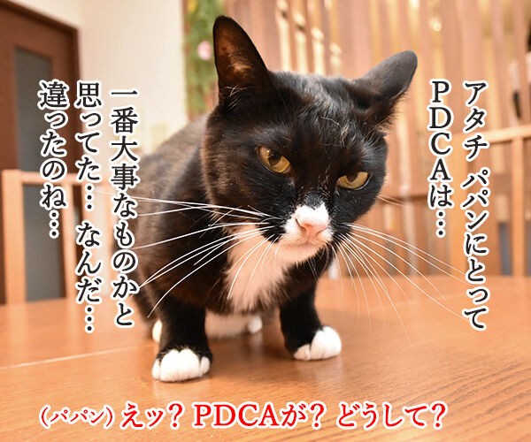 Pdcaができてないって怒られたの あずきさんとだいずさん Powered By ライブドアブログ