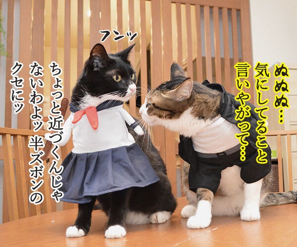 ヤンキーあずきとスケバンだいず あずきさんとだいずさん ヤンキーあずきとスケバンだいず あずきさんとだいずさん