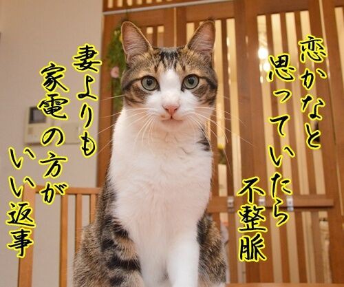 クスリが切れたみたいなの : あずきさんとだいずさん Powered by 