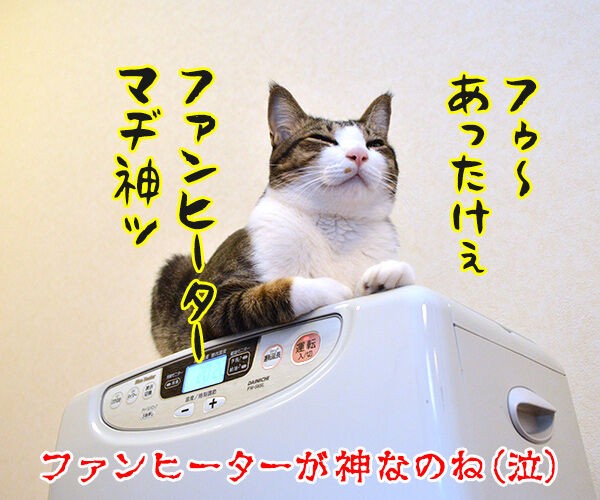 神の元に集うがよい : あずきさんとだいずさん Powered by