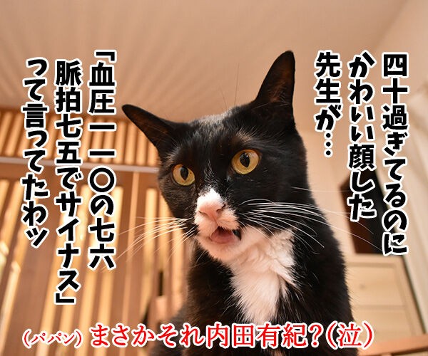 あずだいの2017年重大ニュースは？ : あずきさんとだいずさん Powered 