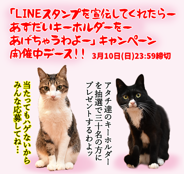 ウンチョスの片づけ方にたくさんコメントいただいたのッ あずきさんとだいずさん Powered By ライブドアブログ