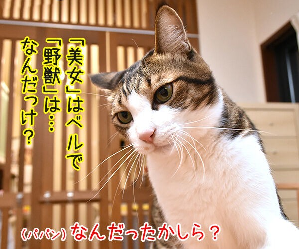 美女と野獣 あずきさんとだいずさん Powered By ライブドアブログ