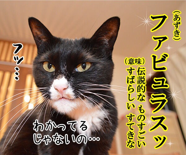 叶姉妹が言いそうな言葉でほめあうのよッ あずきさんとだいずさん 叶姉妹が言いそうな言葉でほめあうのよッ あずきさんとだいずさん