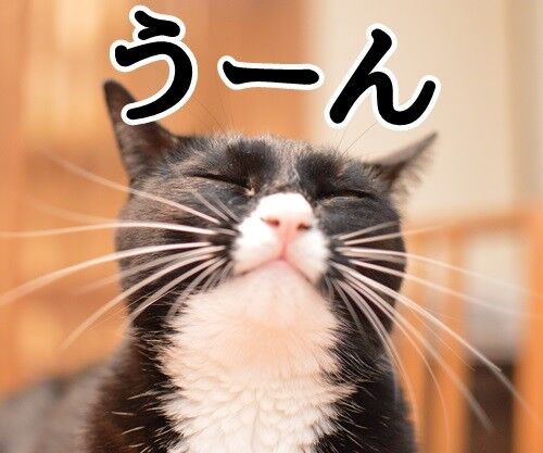 うーん、ミーム