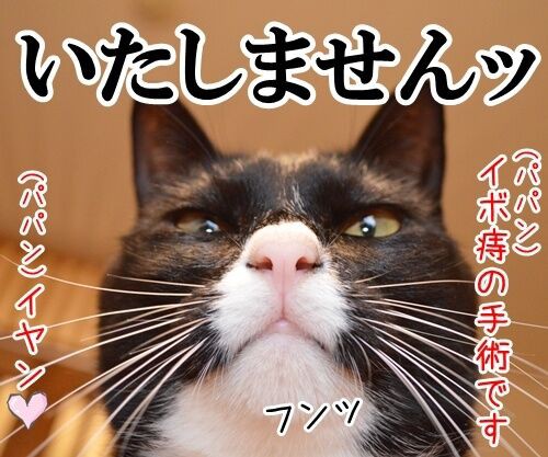 ドクターＸ 其の一 : あずきさんとだいずさん Powered by ライブドアブログ