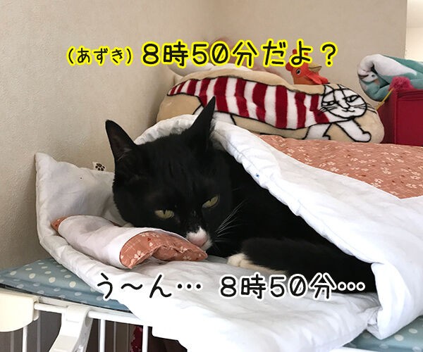 もう朝だよー 起きてー あずきさんとだいずさん