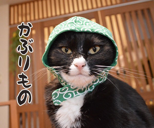 今までにした かぶりもの を集めてみたよッ あずきさんとだいずさん Powered By ライブドアブログ