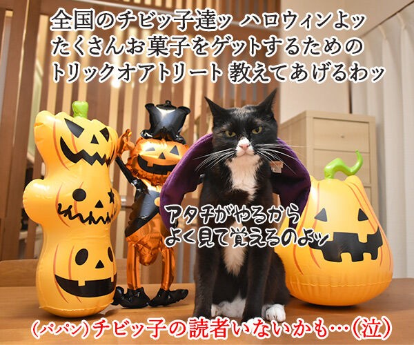 ハロウィン お菓子くれなきゃイタズラしちゃうぞッ だいず編 あずきさんとだいずさん
