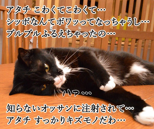 だいずさんの予防接種 : あずきさんとだいずさん Powered by 