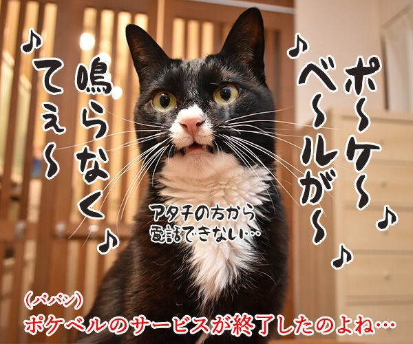 ポケベルが鳴らなくて ポケベルのサービスが終了しちゃったのよッ あずきさんとだいずさん Powered By ライブドアブログ