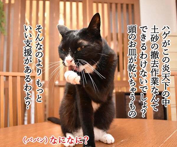 流行語大賞 ノミネート語 『スーパーボランティア』 : あずきさんと 