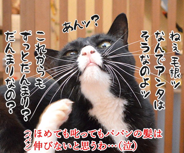 ほめると叱る のびるのはどっちかしら？ : あずきさんとだいずさん 