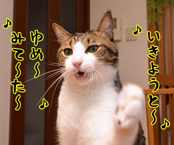 耳をすませば カントリーロード あずきさんとだいずさん Powered By ライブドアブログ 耳をすませば カントリーロード あずきさんとだいずさん Powered By ライブドアブログ
