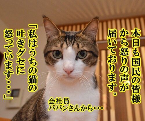 怒り新党 動画 15 怒り新党 動画 15