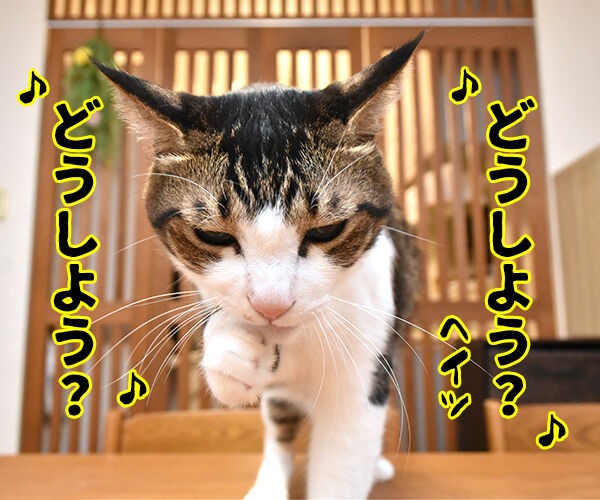 4コマのネタが思いつかない時は唄うのよッ あずきさんとだいずさん