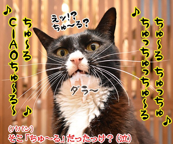 瑛人の 香水 って曲は猫さんも大好きなんですってッ あずきさんとだいずさん Powered By ライブドアブログ