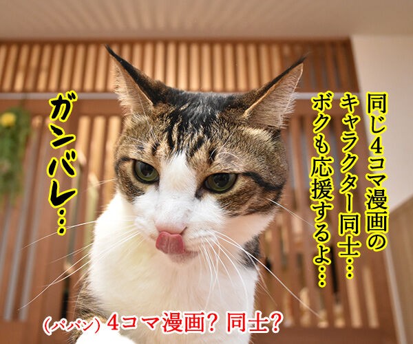 入口 出口 田口被告が土下座謝罪なのッ : あずきさんとだいずさん 