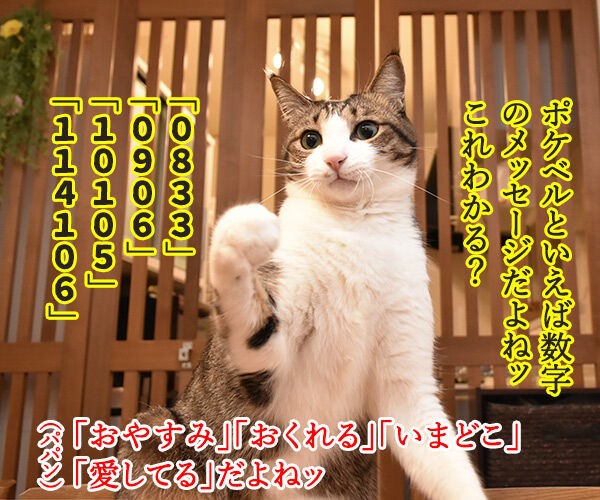 ポケベルが鳴らなくて ポケベルのサービスが終了しちゃったのよッ あずきさんとだいずさん Powered By ライブドアブログ