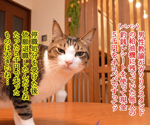 小学校教諭がガソリンスタンドで5000円をネコババですってッ あずきさんとだいずさん Powered By ライブドアブログ