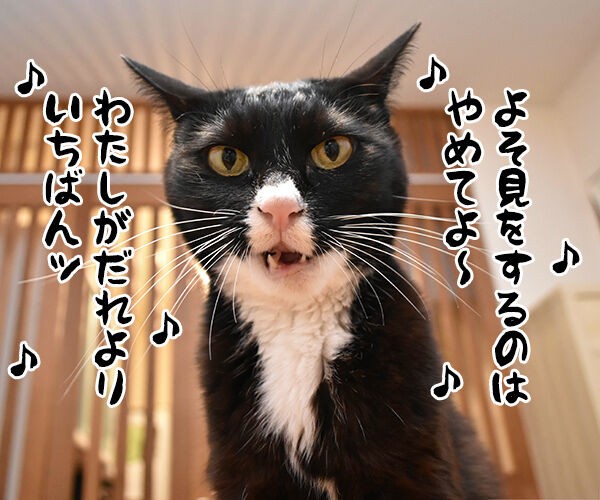 うる星やつら の高橋留美子先生が紫綬褒章だから唄うのよッ あずきさんとだいずさん Powered By ライブドアブログ