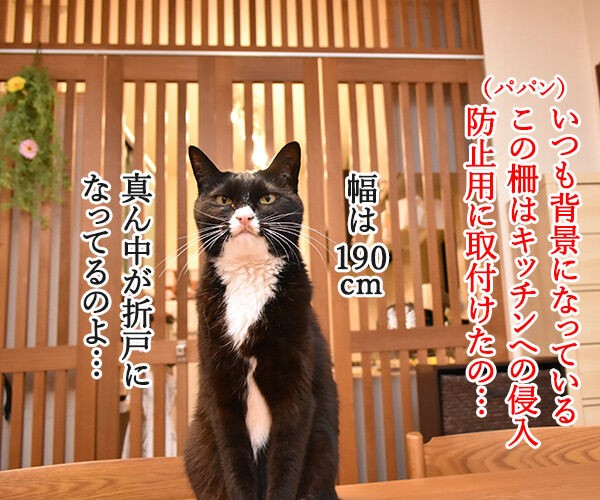 猫さんのキッチン侵入防止策 柵 あずきさんとだいずさん