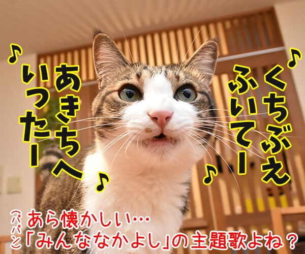 くちぶえふいてあきちへいったら あずきさんとだいずさん Powered By ライブドアブログ