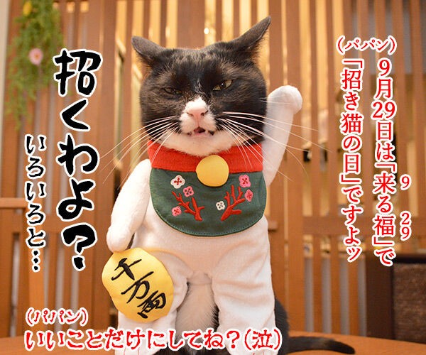 9月29日は 招き猫の日 なんですってッ あずきさんとだいずさん Powered By ライブドアブログ