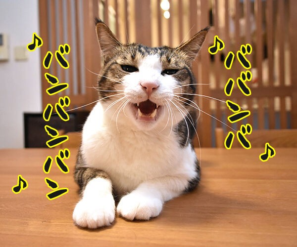 ババンバ バンバンバン は いい湯だな なのよッ あずきさんとだいずさん Powered By ライブドアブログ