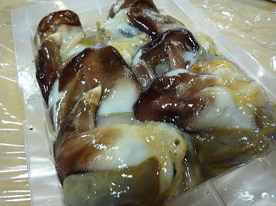 殻つき 大寿司の 早く来ないと無くなるよ