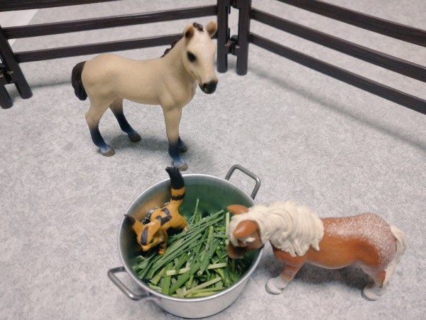 ２６４鞍目 一瞬止まったかな 馬々とりんごの日々