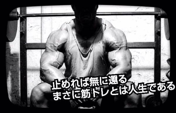 筋トレ名言集でモチベアップ 留年ダメ大学生達による自己改造プログラム