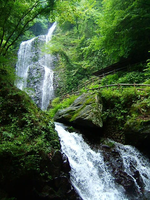 ｽｽﾞﾒﾊﾞﾁに刺された 白猪の滝 お気楽アルプ日記