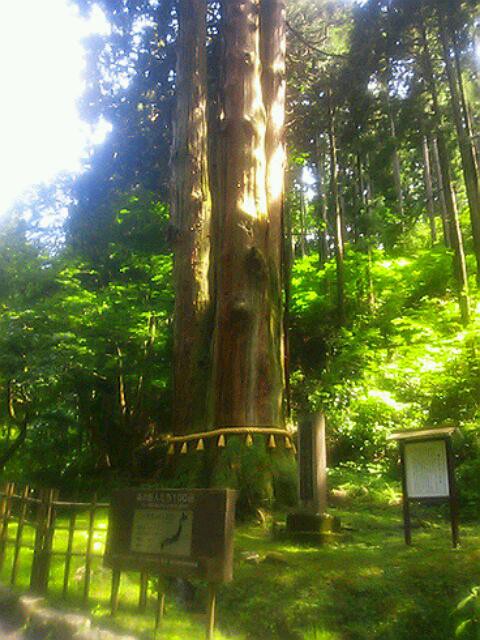 知るヒトぞ知るパワースポット 御岩神社 へ その1 水分だっぷりコラーゲン