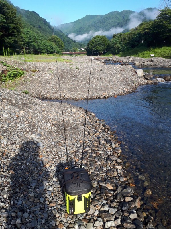 ディスプラウト「スーパーアンディーンsa51UL-H」☆ : 水分だっぷり