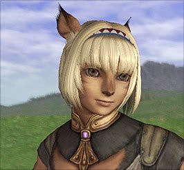Ff14 海外でもアウラはかなり人気 ユーザー調べの統計から見るプレイヤー種族人口 じゅうよんにゅーす