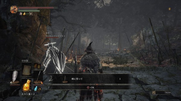ダークソウル３ お前ら詰まっても呼ぶのはnpcのほうがいいぞ 召喚時にジェスチャーくれる奴とかいる ダークソウル３攻略まとめ速報