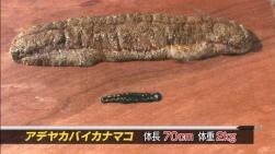 12 06 17 Dashlogのblog