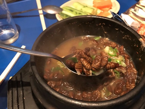 韓国でカイコのさなぎ ポンテギ スープを食べたらアレルギーが出て死にかけた話 東南アジア情報を発信していくよ