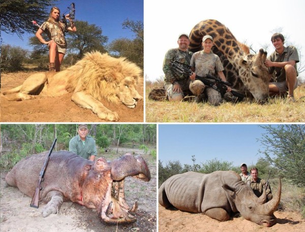 trophy hunting