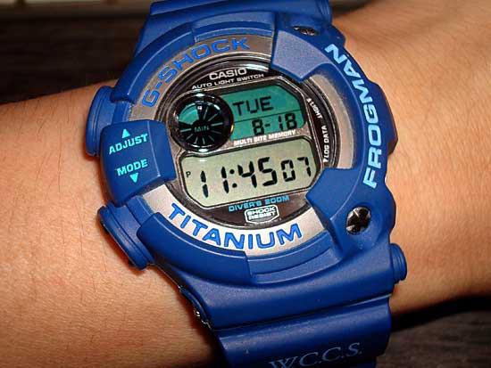 FROGMAN(DW-9902WC)／G-SHOCK・2000(17) : ミーハーのこだわり