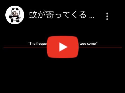 蚊が寄ってくる周波数 耳あたりに蚊の ぷぅ ん ってイライラする音が聞こえたので Youtube でおびき出す音を流したら 06 13 Sat 手紙は今までの住所に送ってくださいも 旧ののブログ