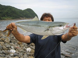 大川峠 アオモノ 人是イカ心 烏賊ハ烏賊ノ上ニ烏賊ヲ創ラズ